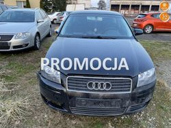 Czarny Używany 2004 Audi A3 Comfort Hatchback | 4290 zł (Super Cena)