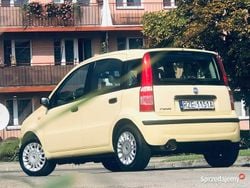 Używany 2006 Fiat Panda Hatchback | 7500 zł (Dość drogi)