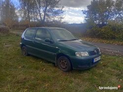 Używany 1999 VW Polo | 1499 zł (Super Cena)