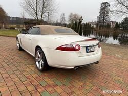 Używany 2008 Jaguar XK8 Kabriolet | 95 000 zł
