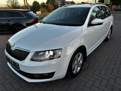 Biały (metalik) Używany 2016 Skoda Octavia Sedan/Limuzyna | 51 200 zł (Drogi)