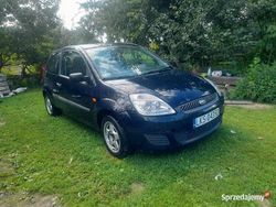 Niebieski Używany 2007 Ford Fiesta Hatchback | 3200 zł (Uczciwa cena)