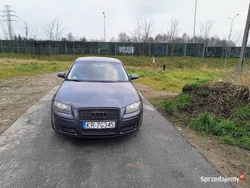 Szary Używany 2006 Audi A3 Hatchback | 18 600 zł (Drogi)