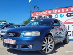 Używany 2003 Audi A3 Comfort | 6490 zł (Uczciwa cena)