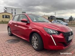 Czerwony Używany 2019 Peugeot 208 Hatchback | 52 000 zł (Uczciwa cena)