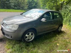 Używany 2007 VW Golf V | 9500 zł (Uczciwa cena)