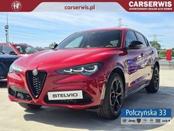 Czerwony Nowe 2025 Alfa Romeo Stelvio SUV | 245 890 zł