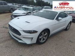 Biały Używany 2019 Ford Mustang Coupe | 98 000 zł