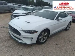 Biały Używany 2019 Ford Mustang Coupe | 98 000 zł