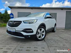 Biały (metalik) Używany 2019 Opel Grandland X SUV | 67 000 zł (Dobra cena)