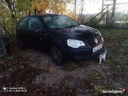 Używany 2005 VW Polo | 3500 zł (Dobra cena)