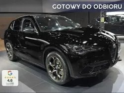 Czarny Nowe 2025 Alfa Romeo Stelvio SUV | 263 100 zł