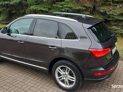 Używany 2016 Audi Q5 SUV | 72 900 zł (Super Cena)