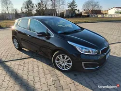 Używany 2016 Kia Ceed | 36 590 zł (Uczciwa cena)
