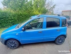 Używany 2005 Fiat Panda Hatchback | 2790 zł (Uczciwa cena)