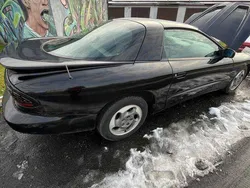 Używany 1993 Pontiac Firebird | 20 500 zł