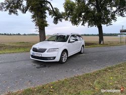 Biały Używany 2015 Skoda Octavia Kombi | 42 500 zł (Dość drogi)