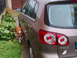 Używany 2010 VW Golf Plus Cross Minivan | 18 000 zł (Dobra cena)