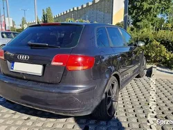 Używany 2005 Audi A3 | 6000 zł (Dobra cena)