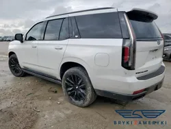 Biały Używany 2023 Cadillac Escalade SUV | 230 260 zł