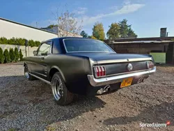Używany 1966 Ford Mustang GT Coupe | 150 000 zł