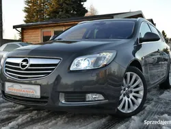 Szary (metalik, perła) Używany 2009 Opel Insignia Kombi | 21 500 zł