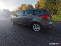 Używany 2016 Ford Focus | 28 000 zł (Dobra cena)
