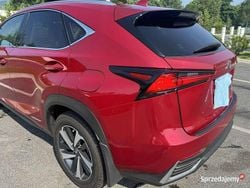 Czerwony Używany 2021 Lexus NX300h SUV | 140 000 zł