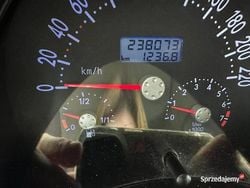 Używany 1998 VW Beetle | 3000 zł (Dobra cena)