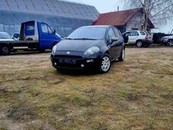 Używany 2012 Fiat Punto Hatchback | 11 900 zł (Uczciwa cena)
