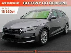 Szary Nowe 2024 Skoda Octavia Selection Kombi | 135 220 zł (Super Cena)