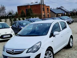 Biały (metalik) Używany 2014 Opel Corsa Hatchback | 21 700 zł (Dobra cena)