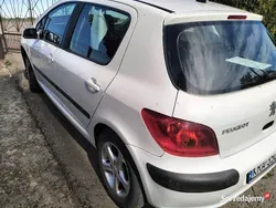 Biały Używany 1994 Peugeot 306 Hatchback | 6500 zł