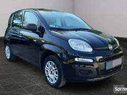 Czarny Używany 2019 Fiat Panda Hatchback | 31 000 zł (Drogi)