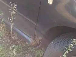 Używany 2003 Skoda Fabia | 1500 zł (Dobra cena)
