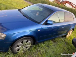 Używany 2004 Audi A3 | 3900 zł (Super Cena)