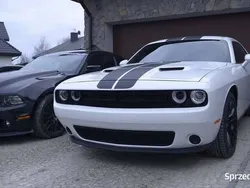 Używany 2016 Dodge Challenger Coupe | 109 000 zł (Uczciwa cena)