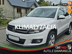 Biały Używany 2011 VW Tiguan SUV | 39 900 zł (Uczciwa cena)