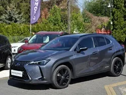 Szary Używany 2021 Lexus UX Sport Line SUV | 118 555 zł