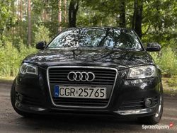 Używany 2010 Audi A3 | 22 500 zł (Uczciwa cena)
