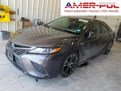 Szary Używany 2019 Toyota Camry Sedan/Limuzyna | 94 000 zł