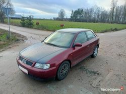 Wiśniowy Używany 1997 Audi A3 Hatchback | 2400 zł (Uczciwa cena)