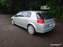Srebrny Używany 2008 Opel Signum Kombi | 9600 zł