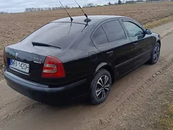 Używany 2006 Skoda Octavia | 8500 zł (Uczciwa cena)
