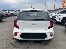 Biały (metalik) Używany 2024 Kia Picanto 2 Hatchback | 14 900 zł