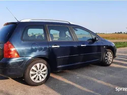 Używany 2007 Peugeot 307 | 7700 zł (Dość drogi)