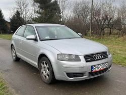 Używany 2003 Audi A3 | 8500 zł (Uczciwa cena)