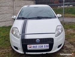 Biały Używany 2011 Fiat Grande Punto Hatchback | 4990 zł (Uczciwa cena)