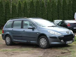 Szary Używany 2007 Peugeot 307 Kombi | 1500 zł (Super Cena)