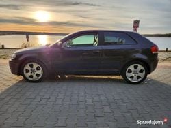 Używany 2005 Audi A3 | 6900 zł (Dobra cena)